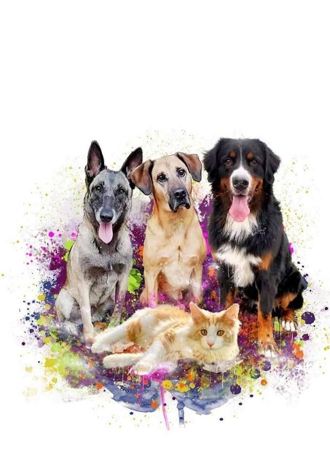 Shila, Tommy, Herr Glaubitz und Kion